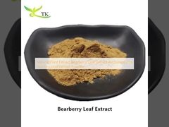 Natural Plant Extract Bearberry Leaf Extract Arctostaphylos Uva Ursi Leaf Extract Powder
