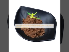 Natural Plant Extract Spina Geditsiae Extract Zao Jiao Ci Extract Powder Price