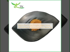 Natural Plant Extract Prunella Vulgaris Extract Self-heal/Heal-all Extract Powder for Herbal Tea