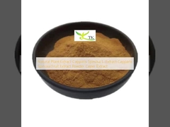 Natural Plant Extract Capparis Spinosa L. Extract Capparis Spinosa Fruit Extract Powder Caper Extract