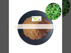 Natural TCM Kalmegh Extract Andrographis Paniculata Extract Powder