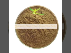 Wholesale Price Natural Portulaca Oleracea Extract Powder 10:1
