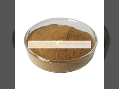Food Grade Natural Lavender Flower Extract Powder Lavender Extract Powder