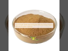 Food Grade 100% Natural Kigelia Africana Extract Kigelia Africana Powder Capsules