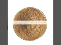 100% Natural Food Grade Onion Peel Extract Red Onion Extract Powder Price