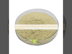 Best Quality 85% Baicalin Baikal Skullcap Root Extract Baicalin Powder Price