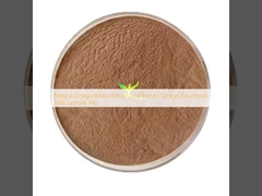 Natural Ginkgo Biloba Extract Leaf Extract Ginkgo Flavonoids 24% Lactone 6%