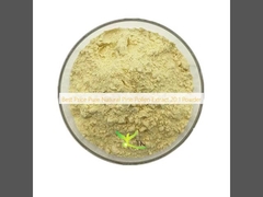 Best Price Pure Natural Pine Pollen Extract 20:1 Powder