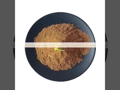 Natural Food Grade Clove Powder 10:1 Clove Extract Powder