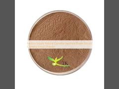 Factory Supply Natural Camellia Japonica Flower Extract Camellia Extract Powder