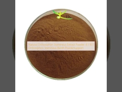 Natural Orthosiphon Stamineus Extract Powder 4:1 10:1 Orthosiphon Stamineus Benth Powdersupport