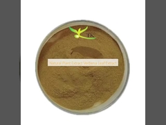 Natural Plant Extract Verbena Leaf Extract