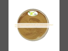 Natural Herbal Supplement 10:1 20:1 Dried Ginger Extract Powder