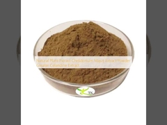 Natural Plant Extract Chelidonium Majus Extract Powder Greater Celandine Extract