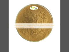 High Quality 10:1 Kakadu Plum Fruit Extract Powder Food Grade Kakadu Plum Powder
