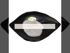 HACCP Factory Supply Kudzu Root Extract Powder 98% Puerarin