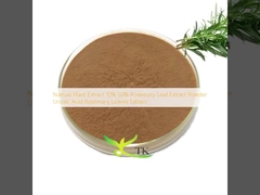 Natrual Plant Extract 10% 50% Rosemary Leaf Extract Powder Ursolic Acid Rosemary Leaves Extract