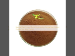 Natural Plant Extract Dried Cynomorium Songaricum Extract Powder Suo Yang Extract