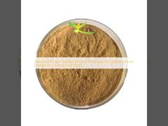 Natural Chinese Traditional Herb Rhizoma Picrorhizae Extract Powder Hu Huang Lian Extract