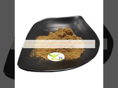 Traditional Herbal Supplement Anemarrhenae Asphodeloides (Root) Extract Powder Zhimu Extract Powder
