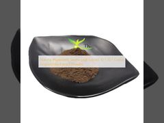 Natural Ingredient Senna Leaf Extract 10:1 20:1 Cassia Angustifolia Extract Powder