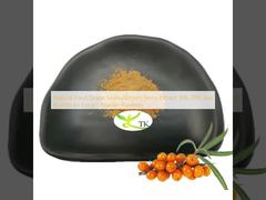Natural Food Grade Seabuckthorn Berry Extract 10% 20% Sea Buckthorn Extract Powder Flavones