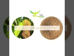 Natural Plant Extract Food Grade Corn Silk Extract Powder 4:1 10:1 Water Soluble