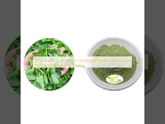 100% Pure Natural Organic Alfalfa Leaf Powder Alfalfa Grass Powder Alfalfa Leaves Powder