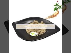 100% Natural Panax Ginseng Root Extract Ginseng Root Powder Bulk