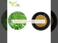 Natural Plant Extract Asiatic Plantain Leaf Extract Powder Plantago Lanceolata Extract 