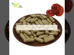OEM Natural Mushroom Supplement Reishi Mushroom Extract Capsules in Bulk