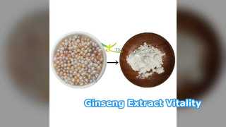 Natural Ginseng Extract Powder Vitality Boost