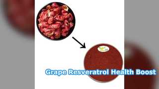 Grape Skin Resveratrol 5% 10% Wholesale