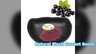 Black Currant Powder Natural Antioxidant Boost