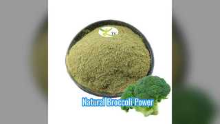Broccoli Sprouts Powder Natural Health Boost