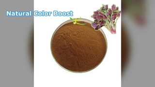 Natural Red Cabbage Extract Powder Vibrant Color