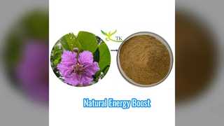 Kola Nut Extract Energy & Focus Powder
