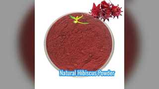 Pure Hibiscus Flower Extract Powder Food Grade