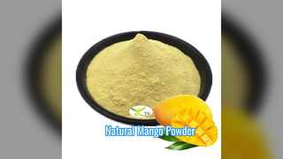 Pure Mango Powder Wholesale Natural Fruit