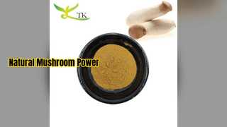 Oyster Mushroom Extract Boosts Immunity & Brain Power