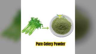 Pure Celery Powder Natural Vegetable Health Boost