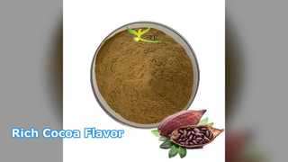 Wholesale Alkalized Cocoa Powder Rich Flavor