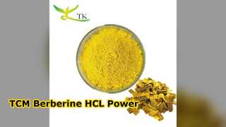 Berberine HCL 97% TCM Extract